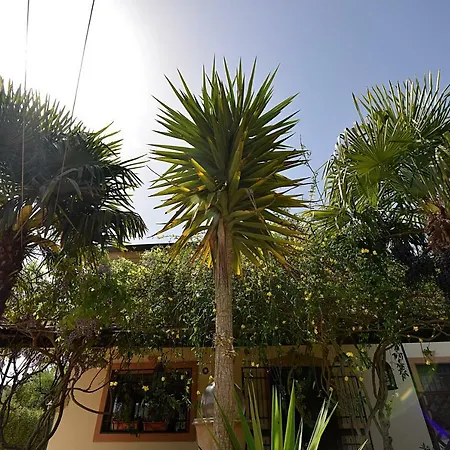 Agave 64 * Piazza Armerina